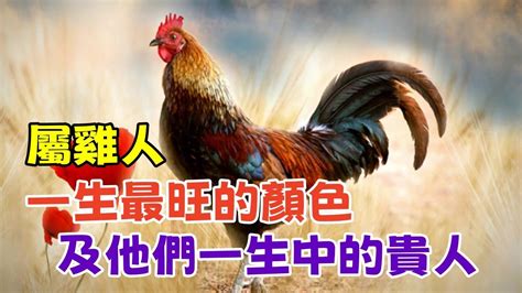 屬雞顏色|屬雞人留意：這些顏色助你贏